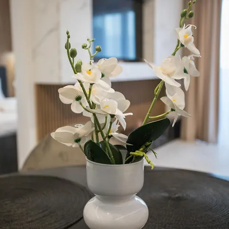 Apartment Address - Cozy Bucharest