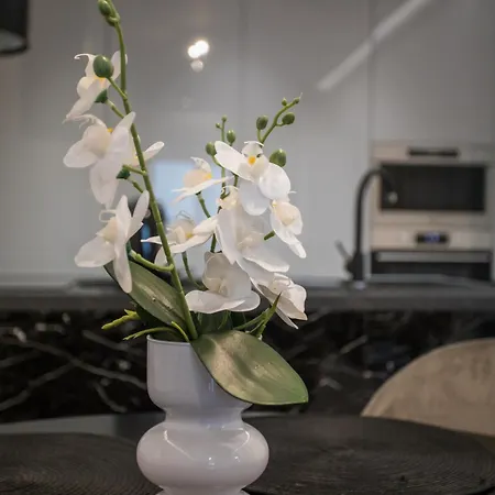 Apartment Address - Cozy
