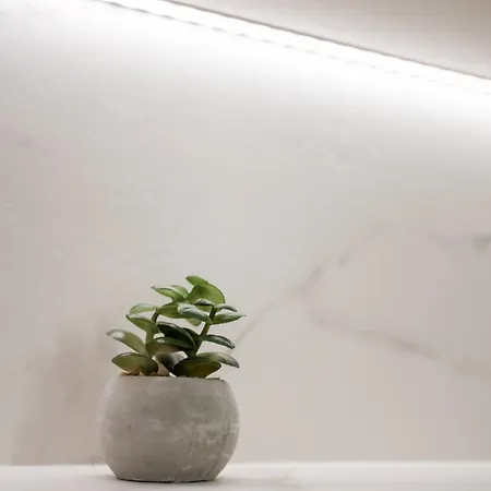 Address - Cozy Apartament